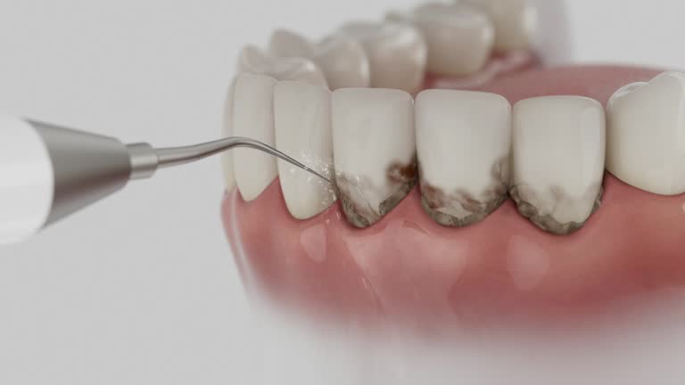 Reliable Dental contractor in Nacogdoches County County, TX by Dentist Open Now